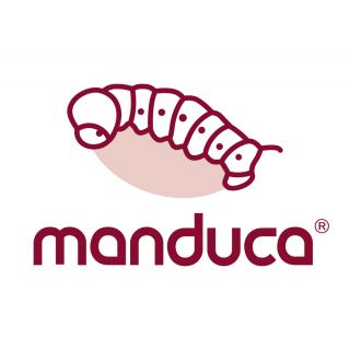 manduca