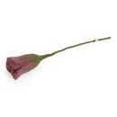 Gry & Sif Tulpe rouge 30cm