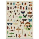 Poppik Puzzle Insekten (500 Teile)