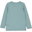 Langarmshirt mineral 110