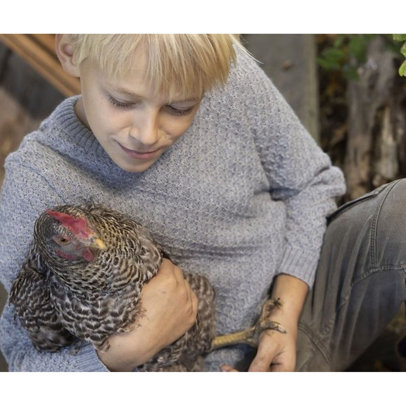 disana Aran-Pullover Grau 134/140