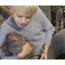 disana Aran-Pullover Grau 134/140