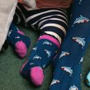 SWOLE PANDA Kinder Socken Shark