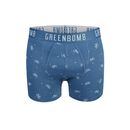 GREENBOMB Herren Shorts BIKE SPACE 2 Trunk blue mix