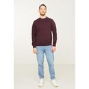 recolution Herren Sweatshirt TAMARILLO dark plum