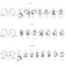 Ruckeli Babytrage Light Taupe Feathers Regular