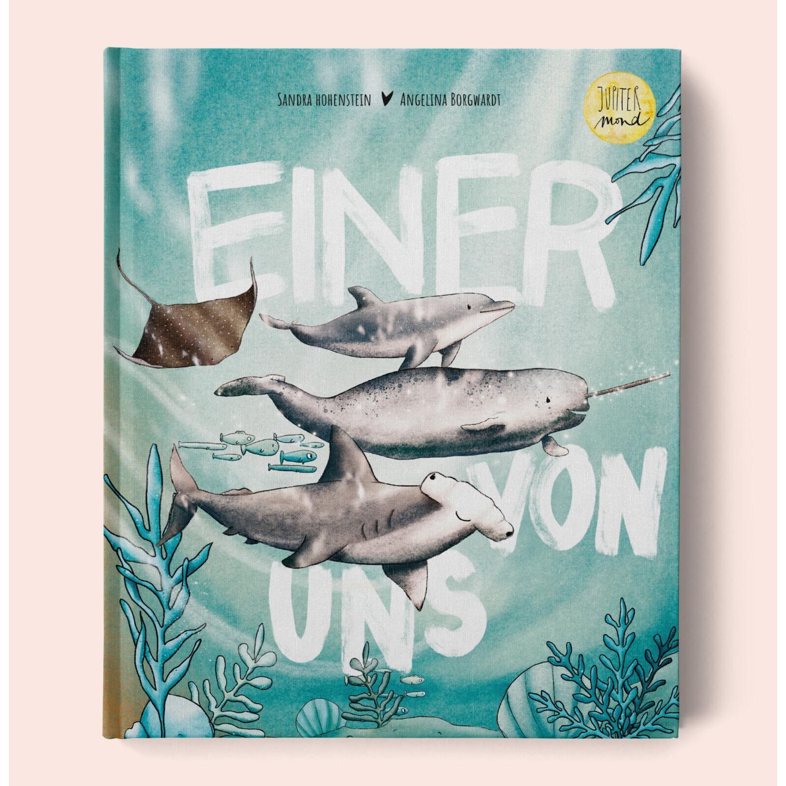 Jupitermond Kinderbuch: (K)einer von uns