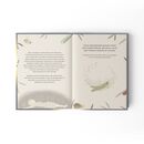 Kinderbuch: Magali und das K�nigreich der Insekten