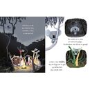 Magellan Kinderbuch: Trau dich, Koalabr