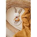 Kikadu Bei�ring Hase Junge