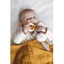 Kikadu Bei�ring Hase Junge