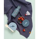 Fresk Snackbox 2er-Set Hai